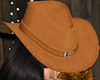 Cowgirl Suede Brown Hat