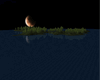 INDIAN OCEAN(NIGHT)