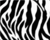 [BGD] zebrine rug