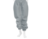 *B* Grey Sweats