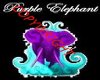 Purple Elephant BLK