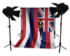 Photo Stand Hawaii flag