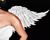 Wings Angel
