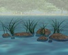 RIVER WATER STONE