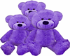 Purple Bears w/Poses