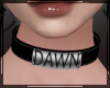 ♥Dawn Collar F♥