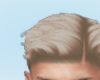 Xavier Blonde