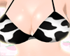 ✰bikini bimbo