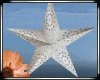 Star white
