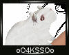 4K .:White Rat:.
