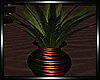 :L: HOLD ME PLANT