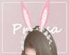 Sweety rabbit headband