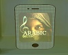 Arabic Dj V4