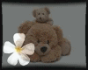 Teddy Bear Loft