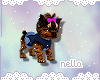 Yorkie Pup. Stitch.
