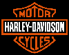 Harley Davidson Raddio