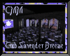 CMM-Club LavenderBreeze