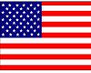 American Flag Top