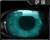 [PC] [M] Twinkle Teal
