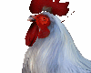 [kyh]hacienda rooster