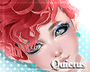 Wave Strawberry - Q
