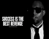 Success Best Revenge