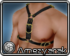 <A>  Harness