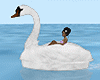Wedding White Swan