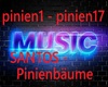 Pinienbäume - SANTOS