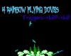 D3~4 Rainbow flying dove