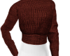 Tashia Brown sweater