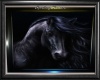 Black Stallion Framed