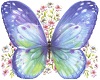Butterfly glitter anim