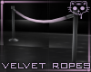 Ropes SilverPurple*1 Ⓚ