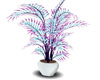 NEON PLANT (KL)