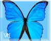 *VK*Blue Butterfly