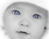 [RQ]Blue Eyed Baby