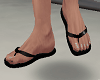 |Anu| B. Flip Flops*1