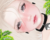 d. kori blonde