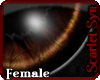 (Ss) November Eyes -F