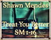 Shawn Mendes Treat You