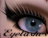 Eye Lashes (Head 4)