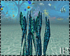 Under Water Plant Ocean