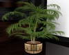J|Palm Design Planter