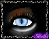 Kat eye (M)