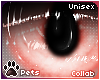 [Pets] Ailva | eyes v1