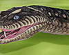 Snake (Add-On)