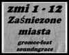 Zaśnieżone miasta