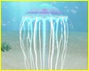 Jelly Fish