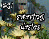 [SG] Swaying Dasies